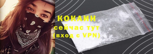 mdpv Богородицк