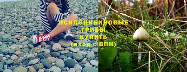 mdpv Богородицк