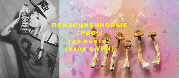 ALPHA PVP Богданович