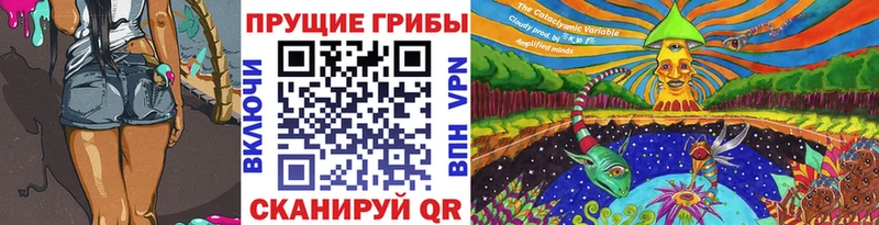 shop какой сайт Наро-Фоминск Галлюциногенные грибы Psilocybe